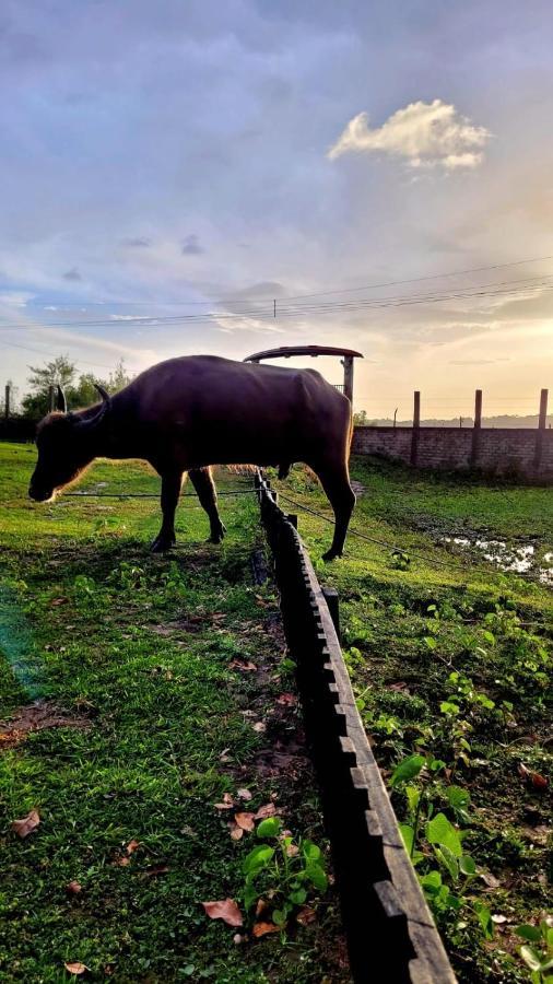 Pousada Marajoara- Hotel Fazenda-Turismo De Aventura Соуре Екстериор снимка