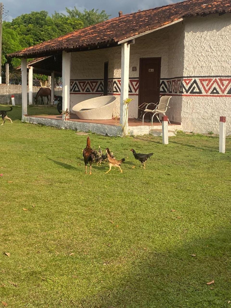 Pousada Marajoara- Hotel Fazenda-Turismo De Aventura Соуре Екстериор снимка